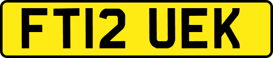 FT12UEK