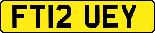 FT12UEY