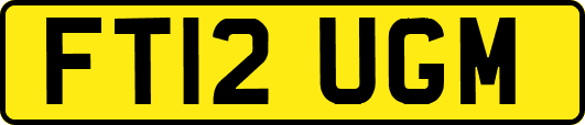 FT12UGM