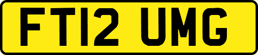 FT12UMG