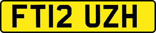 FT12UZH