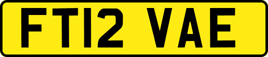 FT12VAE