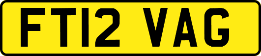 FT12VAG