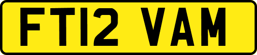 FT12VAM