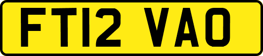 FT12VAO