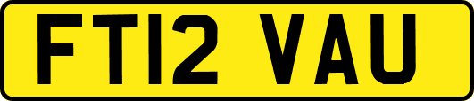 FT12VAU