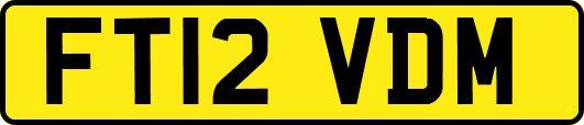 FT12VDM