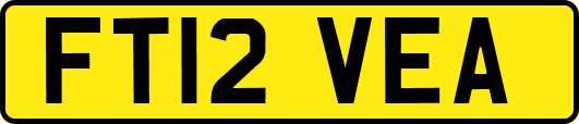 FT12VEA