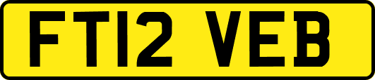 FT12VEB
