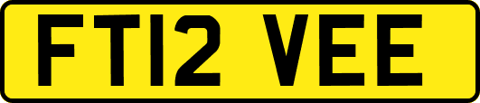 FT12VEE