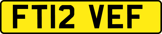 FT12VEF