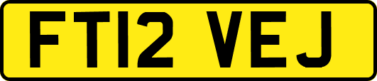 FT12VEJ