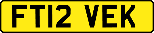 FT12VEK