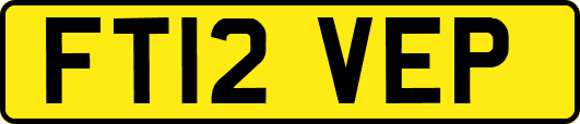 FT12VEP