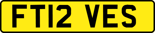 FT12VES