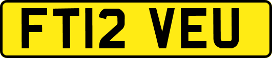 FT12VEU
