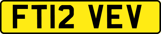 FT12VEV