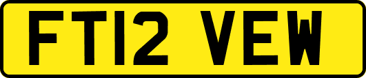 FT12VEW