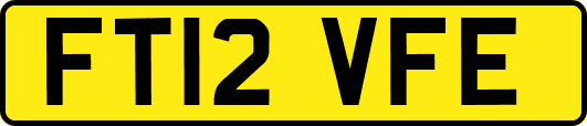 FT12VFE