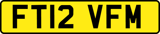 FT12VFM