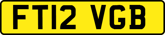 FT12VGB