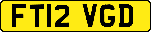FT12VGD