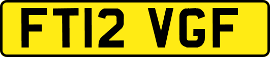 FT12VGF