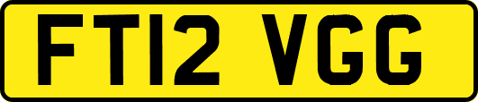 FT12VGG