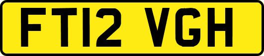 FT12VGH