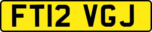 FT12VGJ