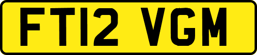 FT12VGM