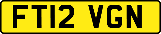 FT12VGN