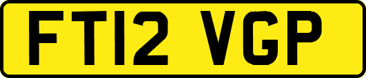 FT12VGP