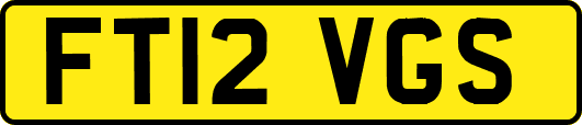 FT12VGS