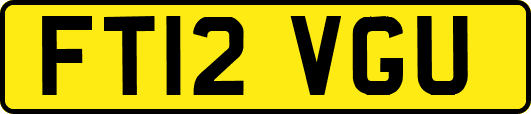 FT12VGU