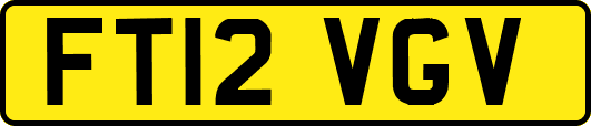 FT12VGV