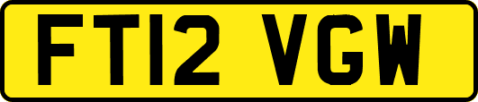 FT12VGW