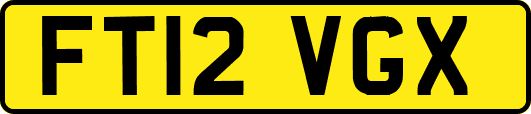 FT12VGX