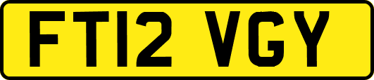 FT12VGY
