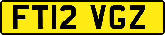 FT12VGZ