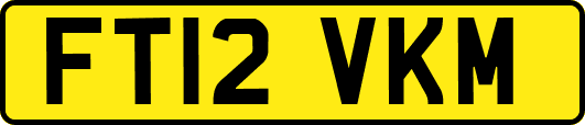 FT12VKM