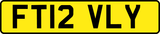 FT12VLY