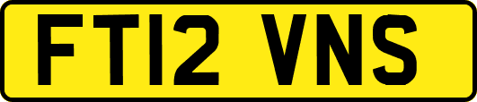 FT12VNS