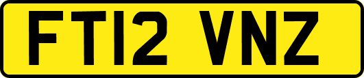 FT12VNZ