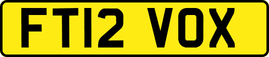 FT12VOX