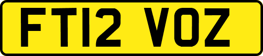 FT12VOZ