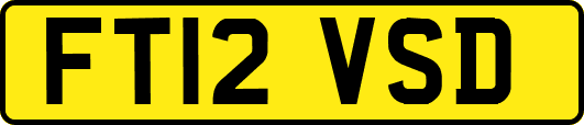FT12VSD