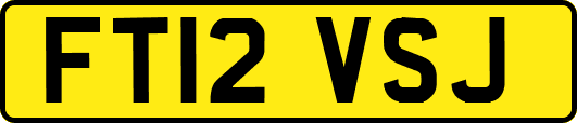 FT12VSJ