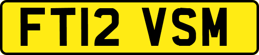 FT12VSM