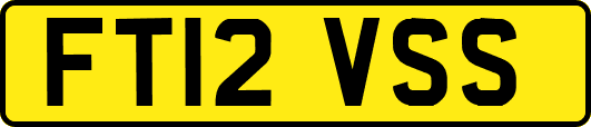 FT12VSS